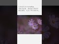 五色花 作者 北岛 #shorts