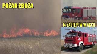 Big wheat field fire in Wyborow (Poland) 04.07.23 - 7 fire trucks responding!