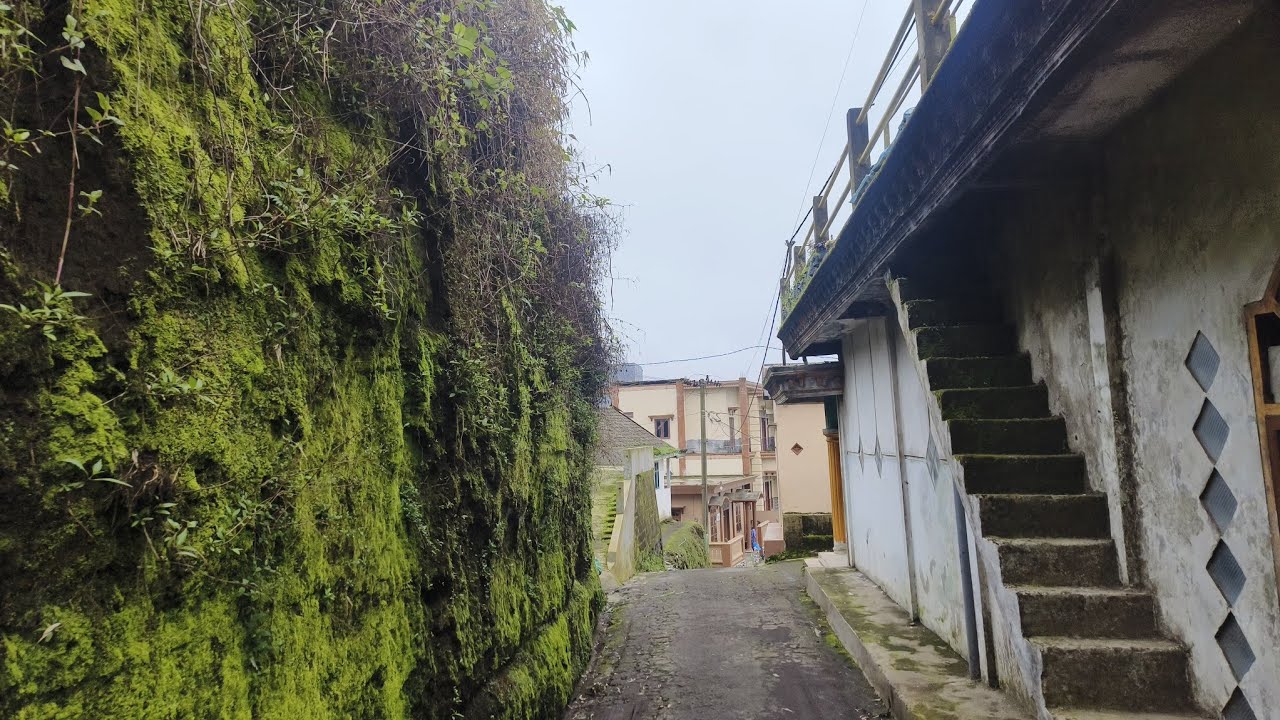 Profil Dusun Jarak Ijo, Desa Ngadas, Kecamatan Poncokusumo, Kabupaten Malang.