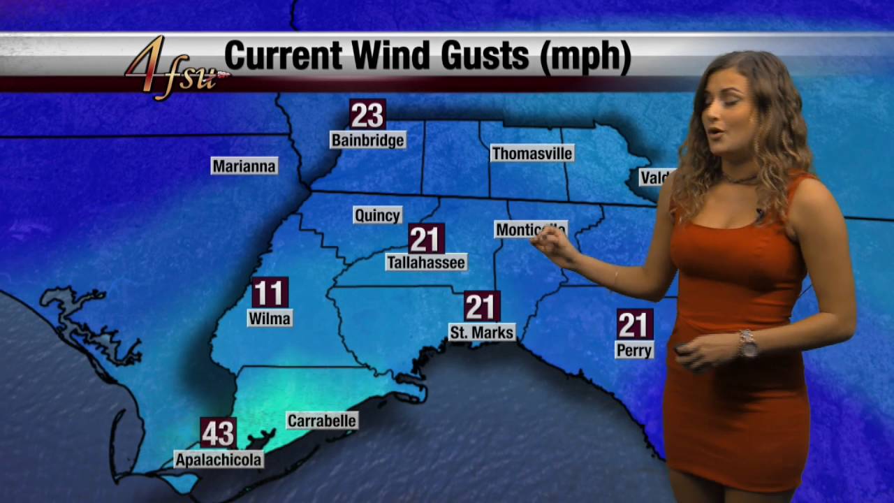 Прогноз погоды для Университета штата Флорида: ураган «Гермин» (1 сентября 2016 г.)