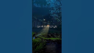 إقرأ كتابك كفى بنفسك اليوم عليك حسيبا ،القارئ الشيخ ياسر الدوسري صوت عذب ما شاء الله ❤️🤲🏻🕌 #اكسبلور