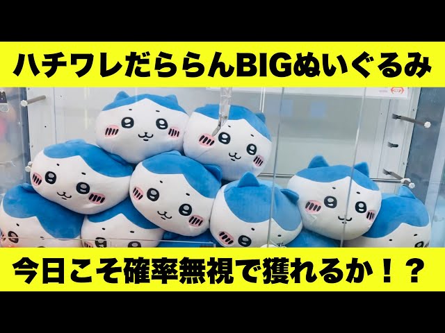ちいかわ】【クレーンゲーム】ハチワレのだららんBIGぬいぐるみ！今日