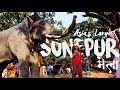 Sonepur Mela Through My Eyes | हाथी मेरे साथी | Sonepur Mela Tour Guide | Sonepur Mela Vlog