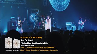 【Mary&amp;#39;s Blood】「Campanula」(Live at TOYOSU PIT 2022)