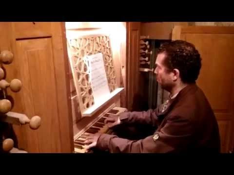 Manuel Mendo - Organista para Bodas