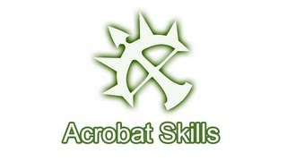 Dragon Nest Acrobat Skills