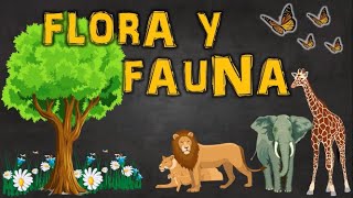 FLORA Y FAUNA | DEFINICIÓN Y EJEMPLOS - thptnganamst.edu.vn