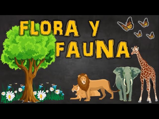 FLORA Y FAUNA | DEFINICIÓN Y EJEMPLOS - thptnganamst.edu.vn