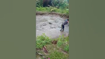 một trải nghiệm đi tát ao bắt cá