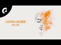 Loving Caliber ft. Christine Smit - While We're Young