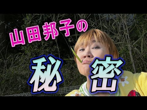 【必見】山田邦子の秘密