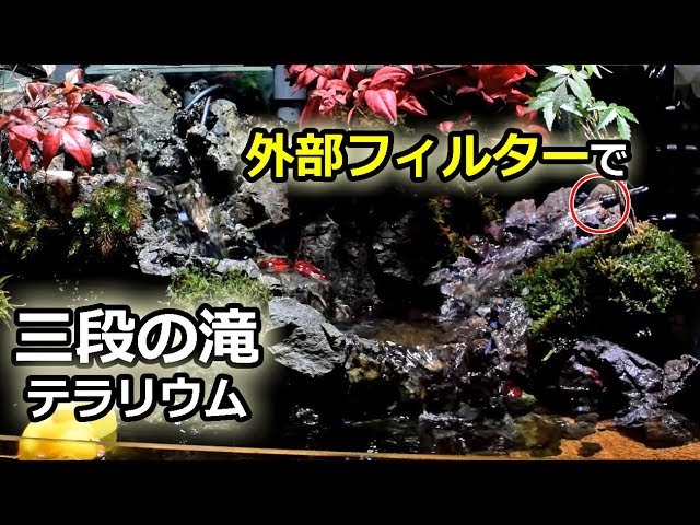 外部フィルターで川を作る 水槽立ち上げ 3段の滝 アクアテラリウム Part15 Youtube 外部フィルターで川を作る 水槽立ち上げ 3段の滝 アクアテラリウム Part15 Youtube