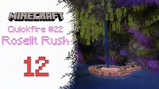 CREEPER PARTY - MINECRAFT CTM ROSELIT RUSH - 12