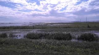 Campos anegados en María Susana. Santa Fe.