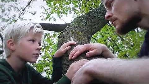 Thumbnail of Leino Taulu & Ville Oinonen