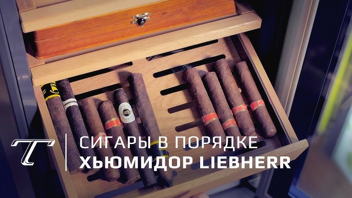 Humidor cava de puros Liebherr Zkes453 - qubbos