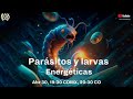 Despertar parsitos y larvas energticas  musicalmente paranormal