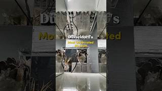 Düsseldorfs Most Underrated Museum?