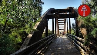 Camino de la Cruz de Caravaca (Camino de Levante) 2ª etapa39 Km. (Murcia/Campos del Río)