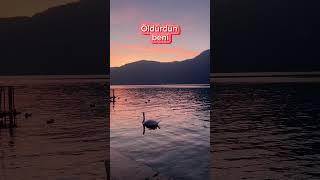 Şentürk Dündar - Akşam Olur Karanlığa Kalırsın