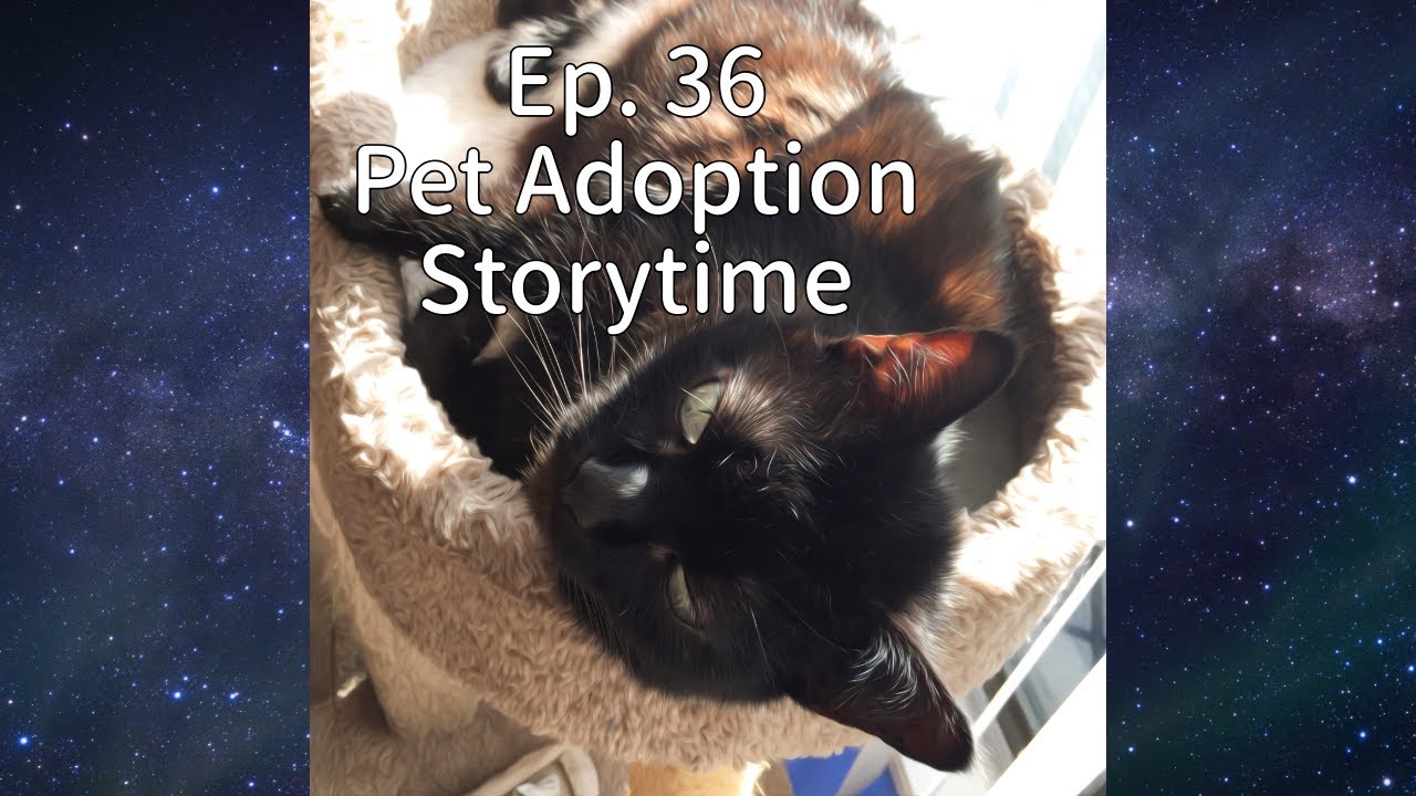 Ep. 36 - Pet Adoption (Kahu)