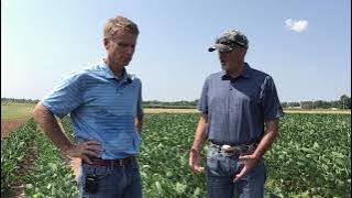 FMC Tech Talk: A New Premix to Help Tackle Troublesome Soybean Pests