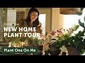 New cottage houseplant home tour ep 345