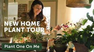 NEW COTTAGE Houseplant Home Tour - Ep. 345