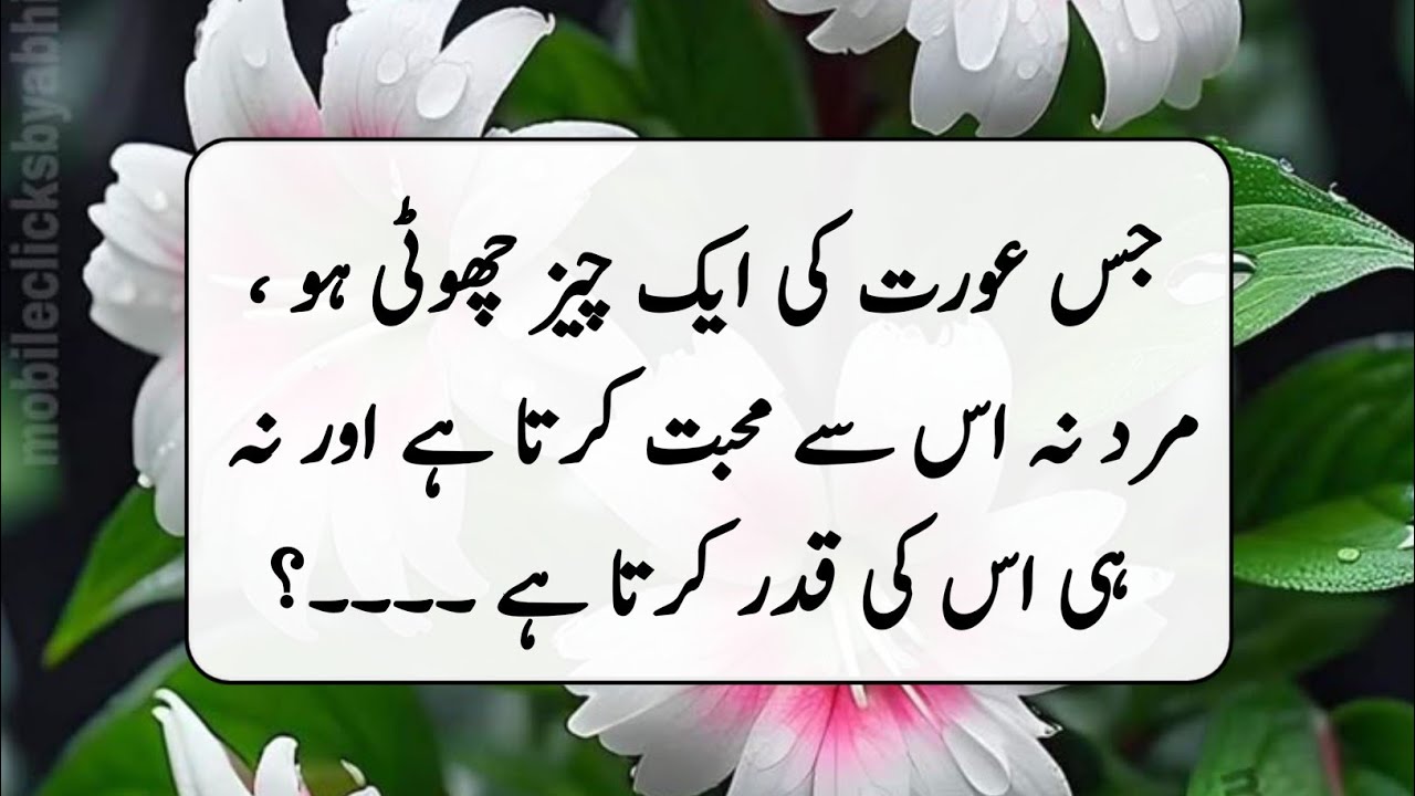 Urdu Quotes Golden Words || Motivational Quotes For Success In Relationship ||  Broken Heart