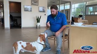 Milnes Ford Has The Chips ...Lays Chips