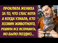 Прокляла жениха за то, что спас погибающего кота. Но когда узнала, кто хозяин животного, пожалела...