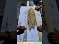 Quick bean sorting tips! #tips