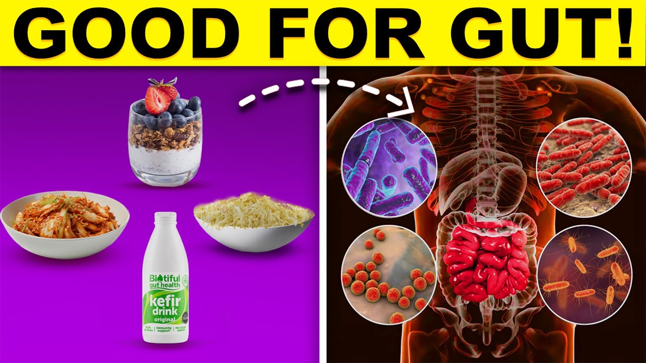 The Truth About Probiotics: What Your Gut Needs! - YouTube