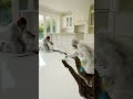 Amazing 3D Epoxy Floor Transformation 😍 | From Plain Floor to Masterpiece