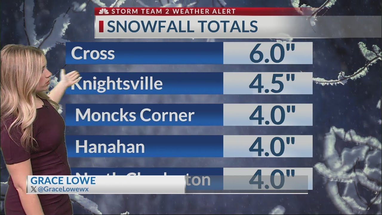 Grace Lowe shows snow totals from Jan winter storm - YouTube