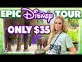 Cheapest Private Disney Tour! | Caring for Giants Elephants at Animal Kingdom &amp; More in Disney World