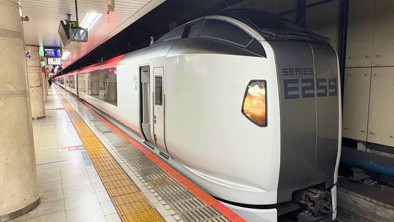 Из Токио в аэропорт Нарита | Удобный транспорт | NARITA EXPRESS