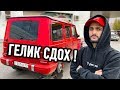 ГЕЛИК ГУСЕЙНА - СДОХ !