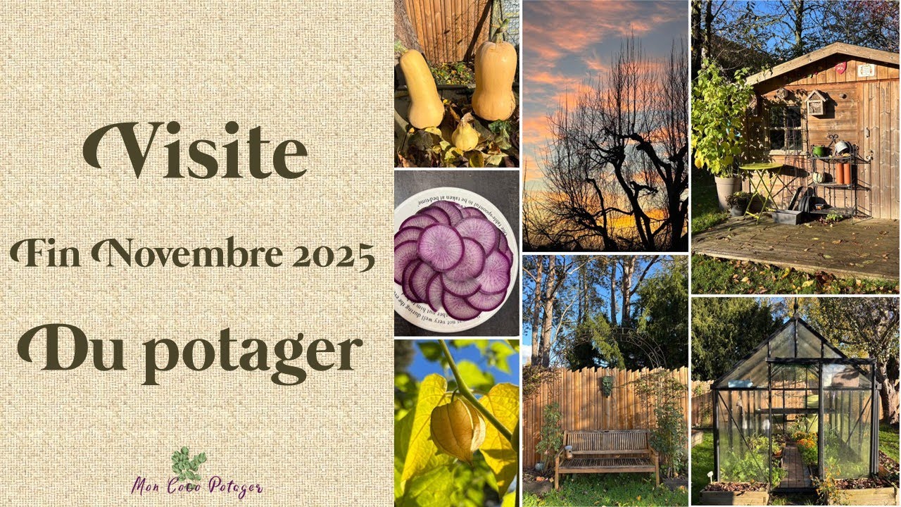 Que trouve t'on au potager fin Novembre ?