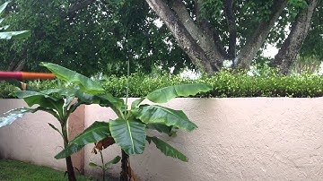 Geo 3 shooting with exalt bolt upgrade. **for sale**