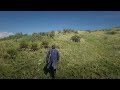THE BEAUITY OF RED DEAD REDEMPTION II