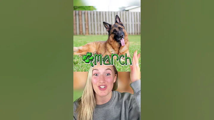 What DOG Breed YOU ARE Based On Your BIRTH MONTH!😱 - DayDayNews