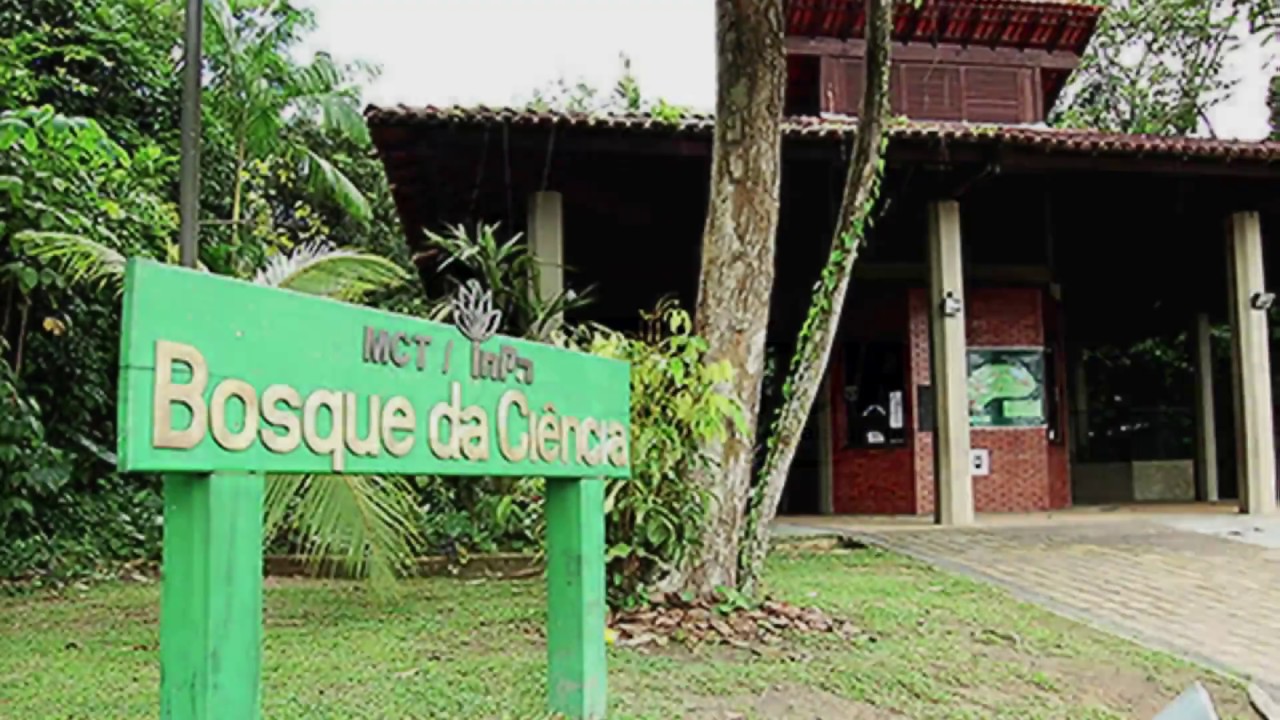 INPA Manaus / Amazonas / Brasil/ Jungle / Manaus