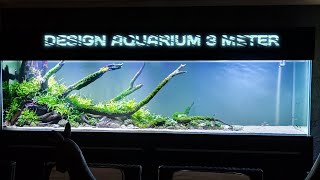 Aquarium Design 3 Meter Tema Natural