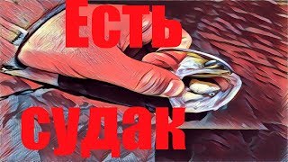 Судак троллингом! Река Ока