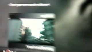 IMG 17981