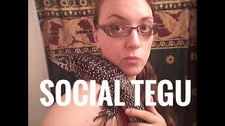 Hanging Out With My Social Columbian Tegu!!