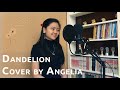 Dandelions  ruth b  cover by angelia