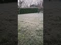 صلوا عليه وسلموا