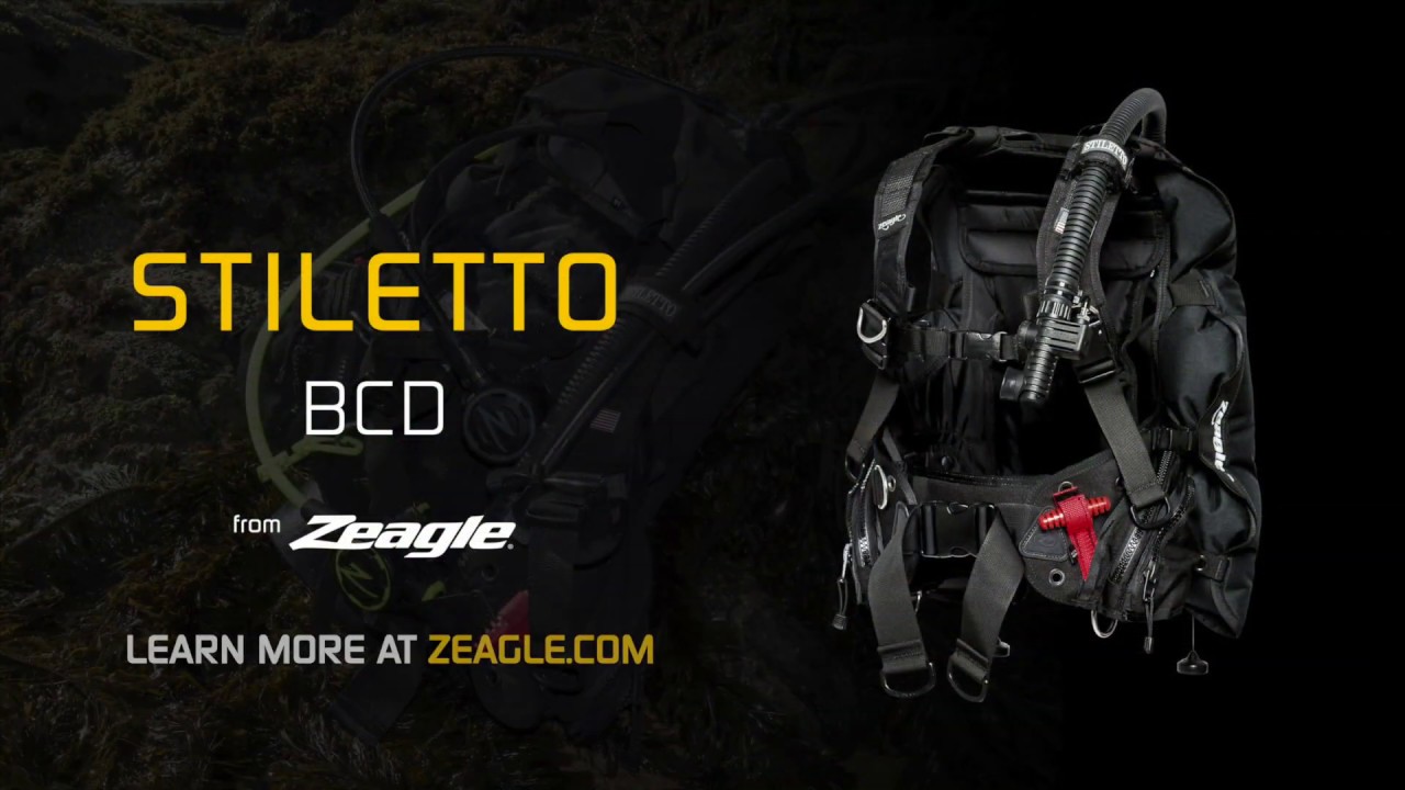 Zeagle Bcd Size Chart